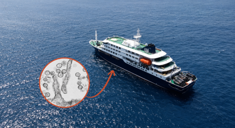 Imagem de A estirpe do Hantavírus encontrada em dois pacientes do navio-cruzeiro em Cabo Verde, é a mais perigosa