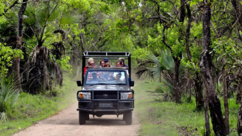 Imagem de Parque Nacional da Gorongosa prestou serviços de saúde a mais de 160 mil pessoas, no ano passado