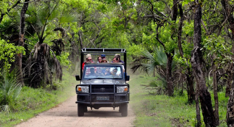 Imagem de Parque Nacional da Gorongosa prestou serviços de saúde a mais de 160 mil pessoas, no ano passado
