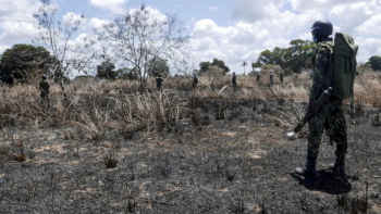 Imagem de Quinze incidentes violentos em Cabo Delgado, nas duas últimas semanas