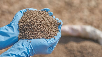 Imagem de Acabaram os fertilizantes gratuitos para os agricultores angolanos