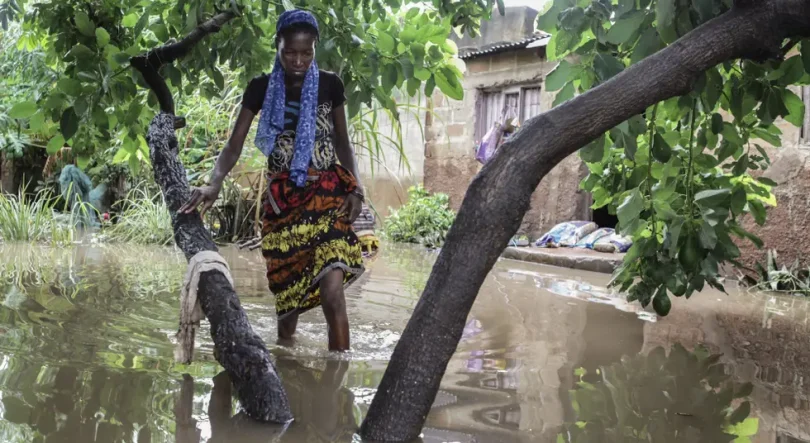 Imagem de Moçambique já tem algum dinheiro para mitigar os impactos do El Niño