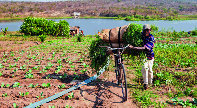 Imagem de Antigos combatentes moçambicanos vão receber dinheiro dos fundos de projetos públicos da agricultura