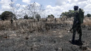 Imagem de Nove anos depois do início do movimento terrorista em Cabo Delgado