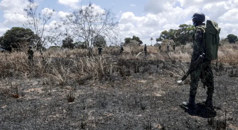 Imagem de Nove anos depois do início do movimento terrorista em Cabo Delgado