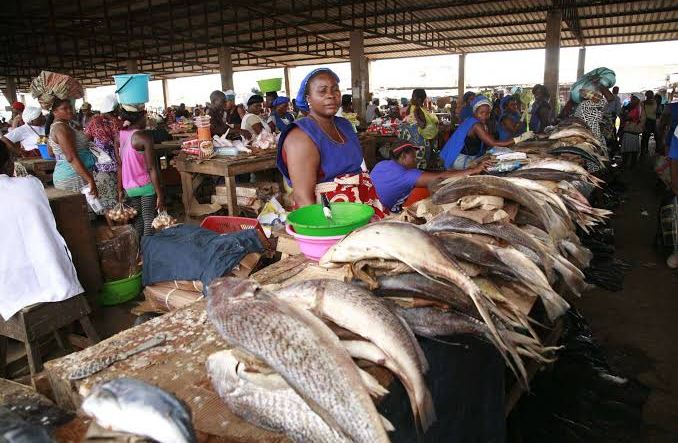 Imagem de Aumentou a produção de aquicultura em Angola